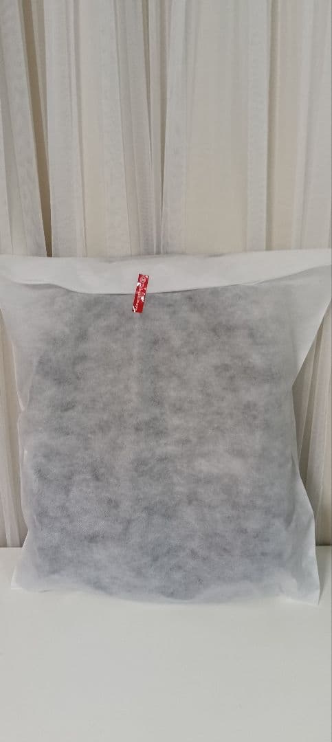 国内正規品THE NORTH FACEノースフェイス キンカジュー 33L