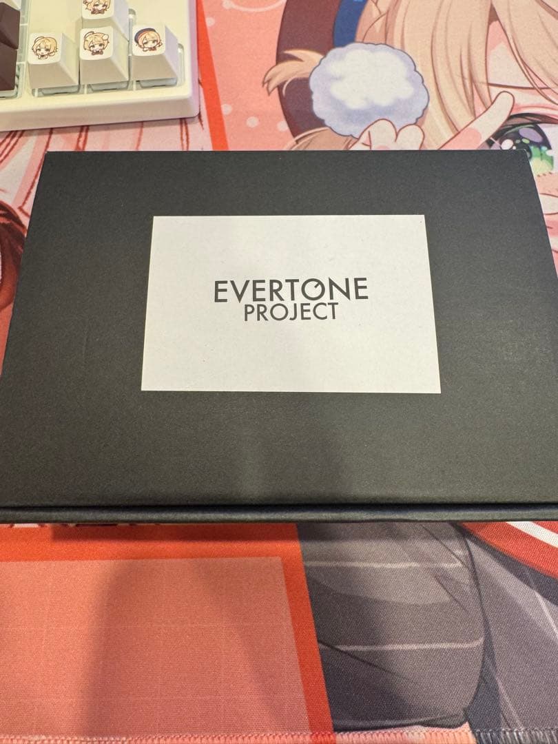 ベース EVERTONE NEWTONE JB4 Class-S