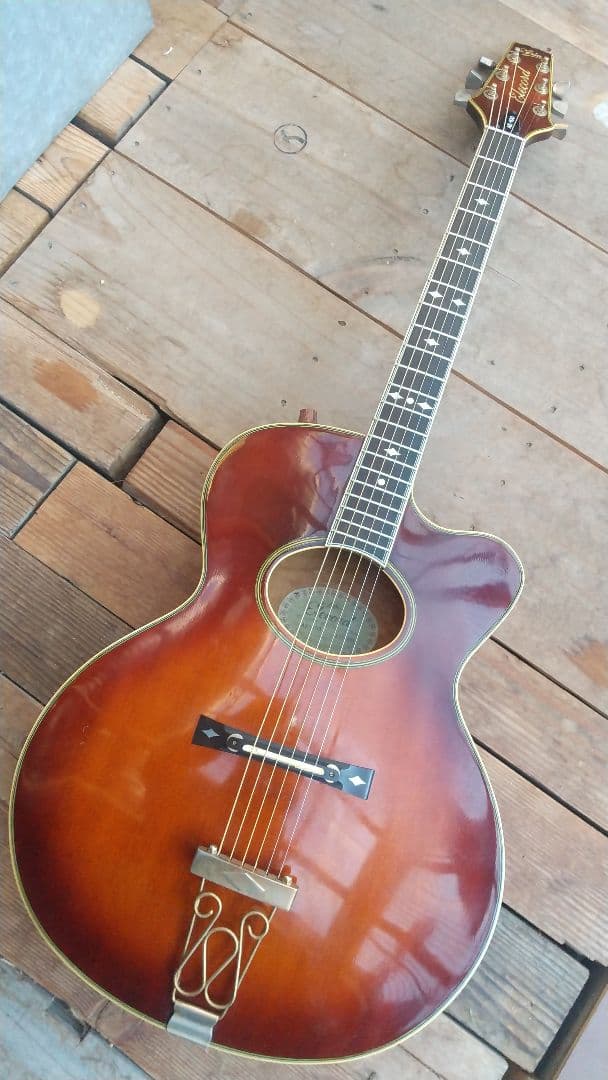 レオさん専用 ARIA Elecord AE-100 エレアコギター