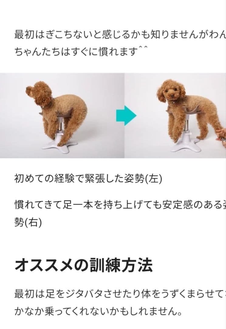 ペット用トリミング椅子