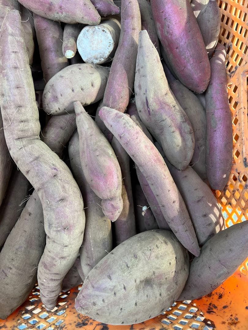 まもるシルクスイート20k×3 60kg