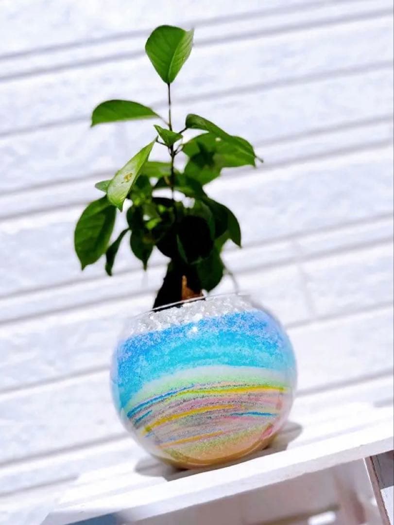 オーダー専用ページ