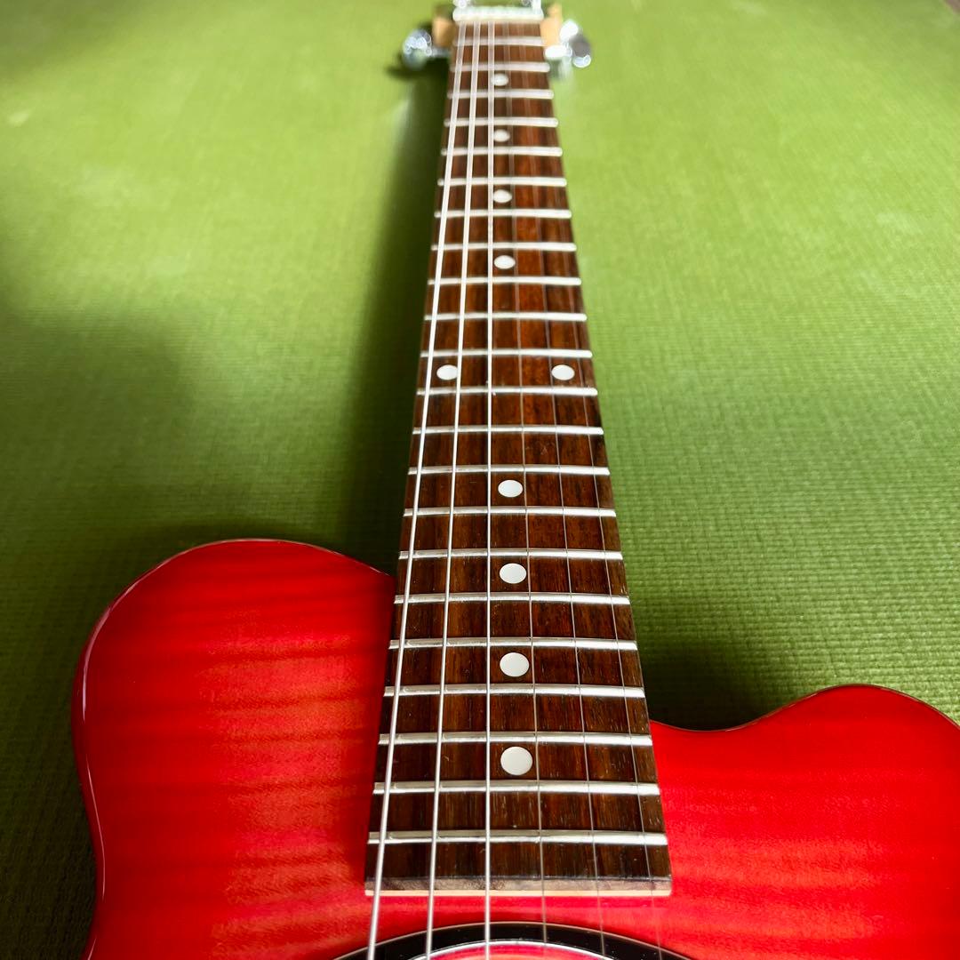 PIGNOSE ピグノーズ アンプ内蔵ミニギター