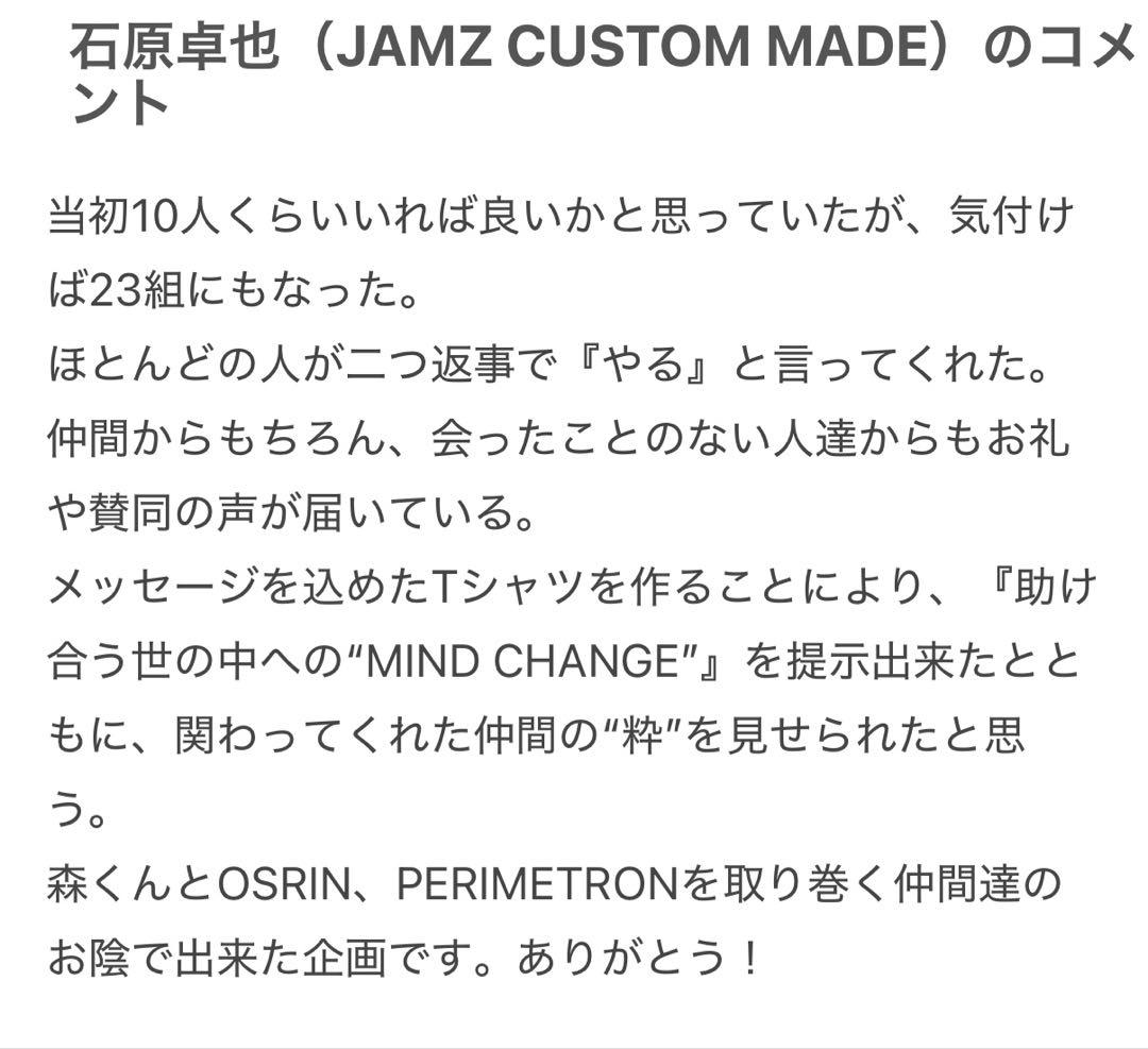 DWS JAPAN （色流シ）希少Tシャツ2枚セット