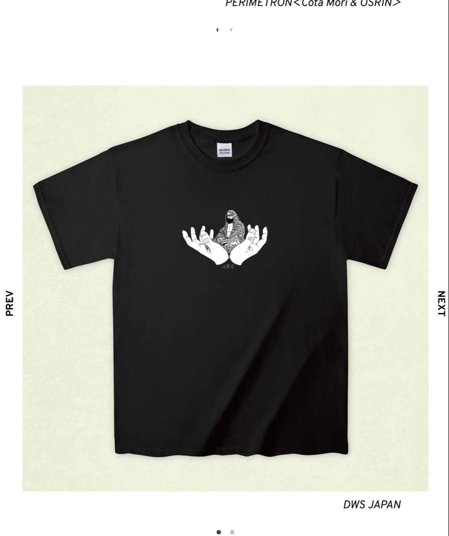 DWS JAPAN （色流シ）希少Tシャツ2枚セット