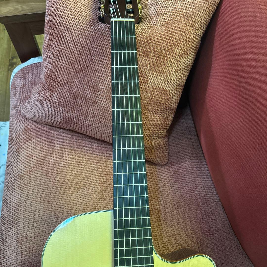 Yamaha NTX5 エレガット