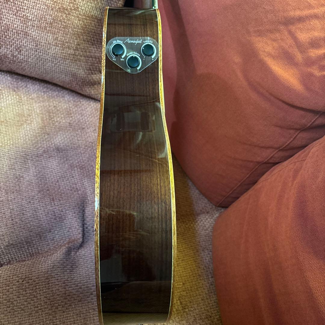 Yamaha NTX5 エレガット