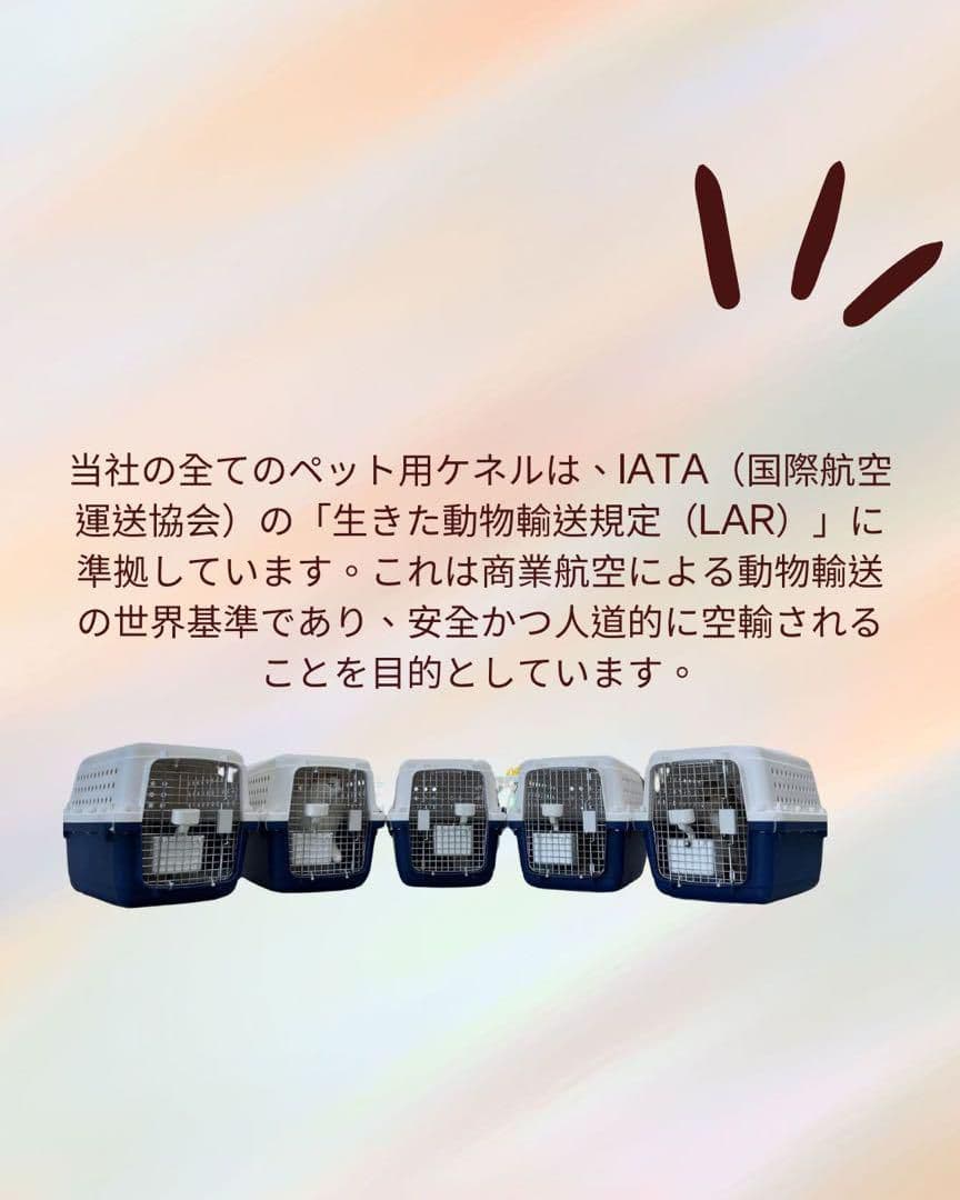 猫犬　ケージ クレート　ペットパレス BB55 移住　お出かけ 輸送