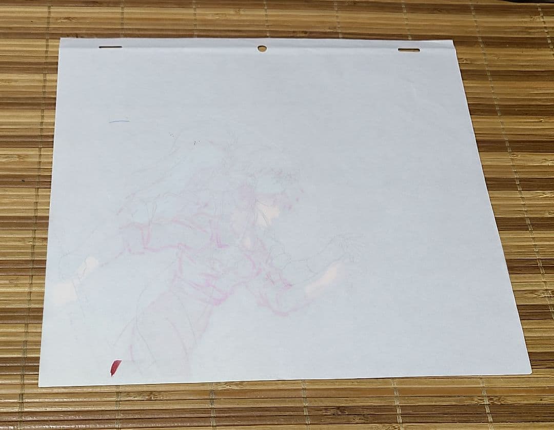 幽☆遊☆白書 セル画 ぼたん Yu Yu Hakusho 冨樫義博