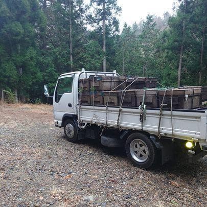 リピーター多数　国産百花蜜 梅酒瓶入り　おまけ付き　生産者価格で大放出