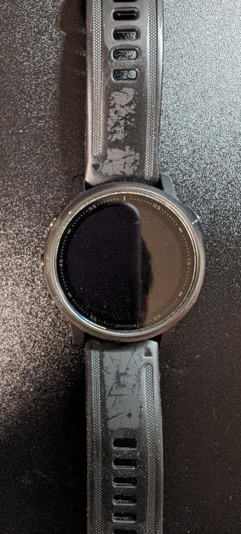 【てつ】GARMIN FENIX 6S SAPPHIRE