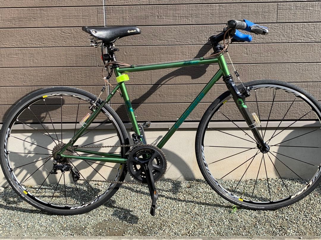 Calamita CXオリーブ