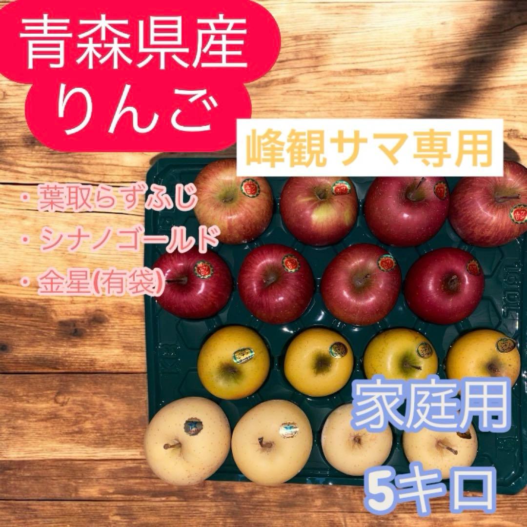 青森県産 りんご 家庭用10キロ