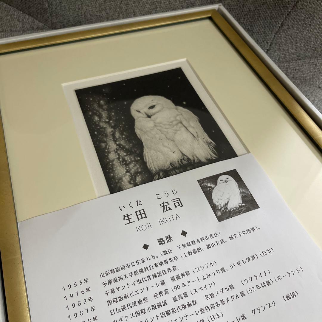 サイン入り　生田宏司　銀河の滝　銅版画　メゾチント