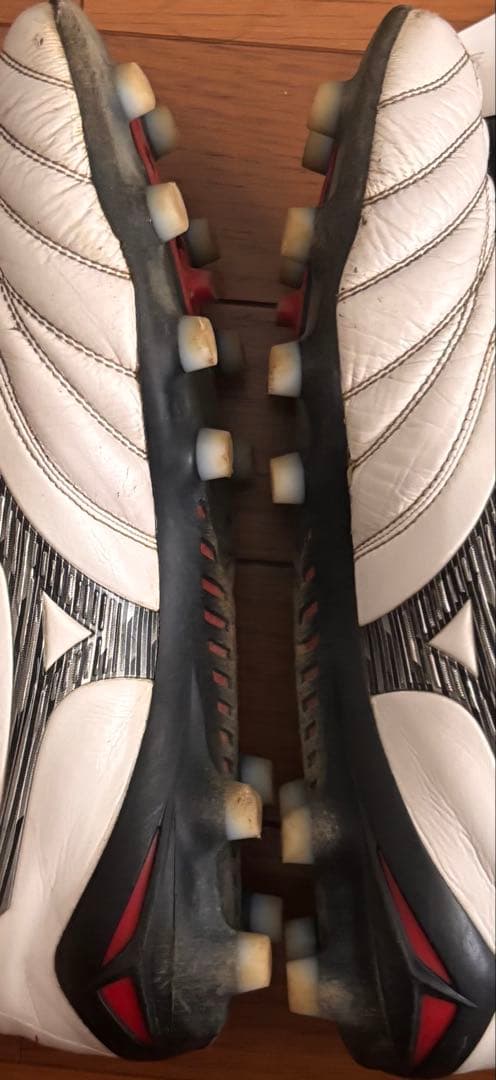 早い者勝ち！モレリアネオ4 中古　付属品なし