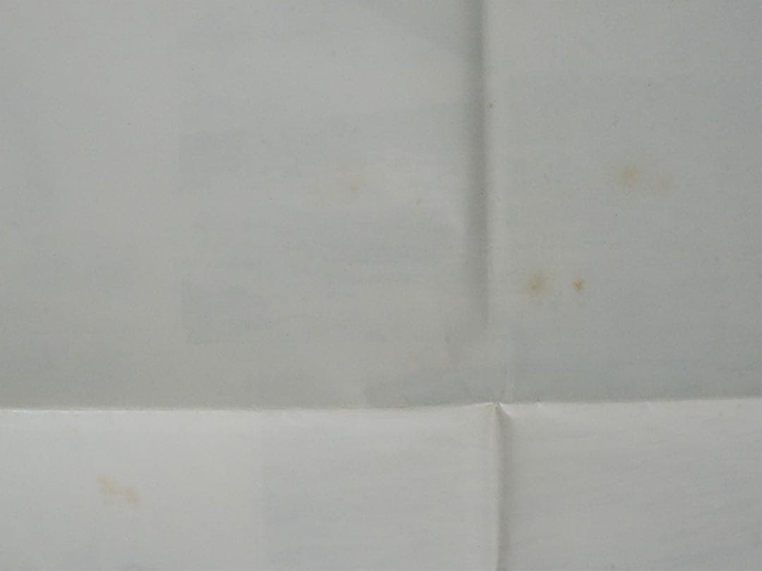 コム・デ・ギャルソン 　クジラ ブリーチング 特大ポスター