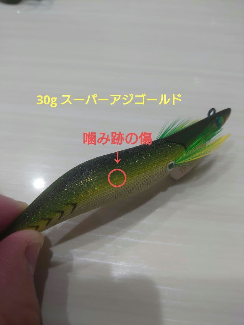 エギリー・ダートマックスTR 40g&30g 5本セット