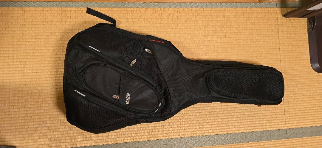 Schecterダイヤモンドシリーズ エレアコ セミハードケース付き