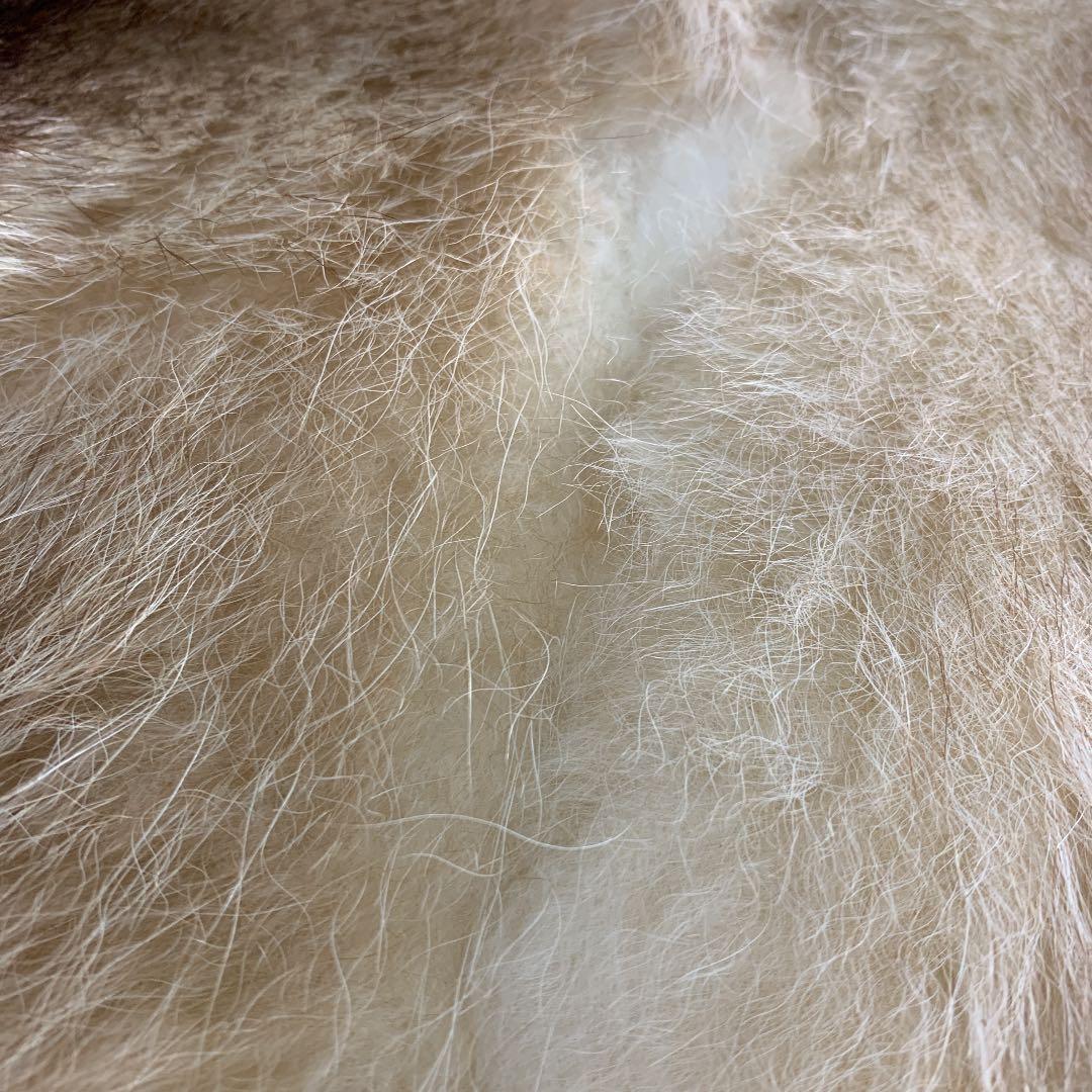 【毛皮】尻当て　ラクーン白　44.5×46センチ　日本製