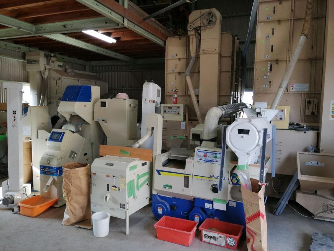 令和７年度兵庫県産 きぬむすめ 玄米30kg※精米可 本州・四国・九州は送料無料