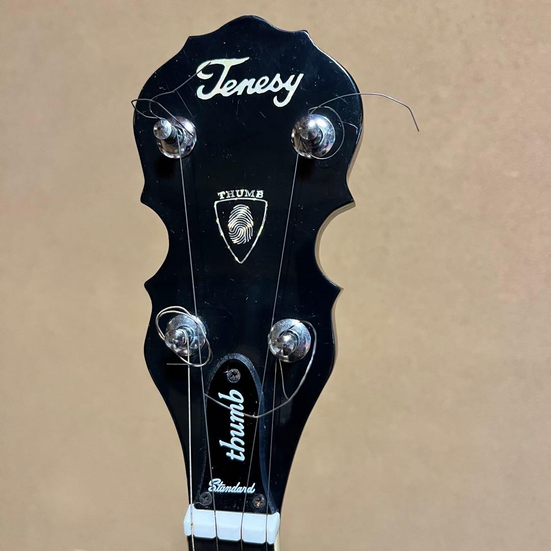 心*証様 BANJO TENESY バンジョー　５弦