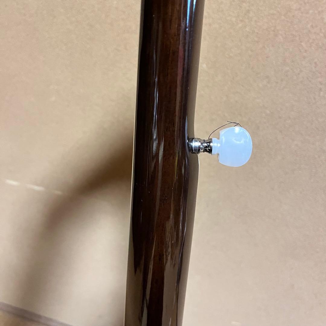 心*証様 BANJO TENESY バンジョー　５弦