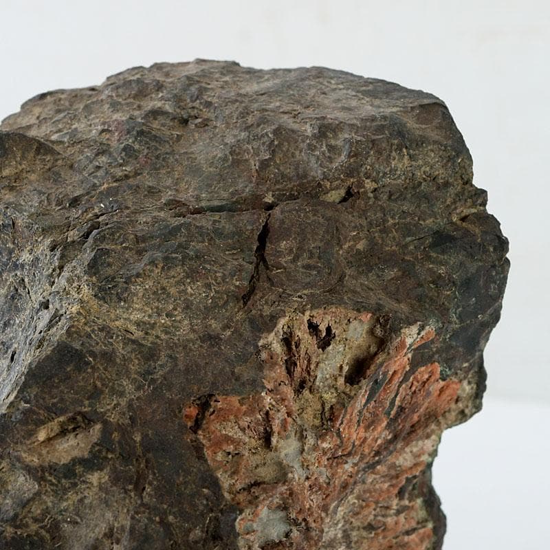 鑑賞石　天然石　菊花石　置物　台付　Z　9752