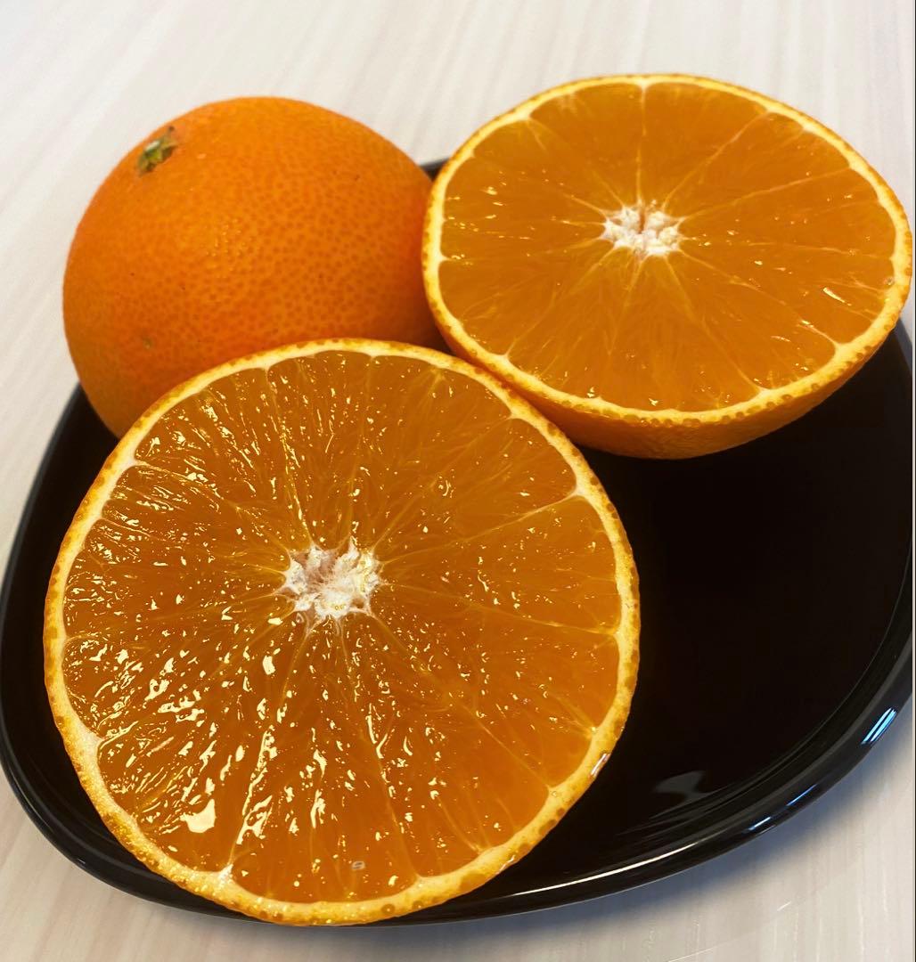 きみえ　北海道地方追加送料込み　愛媛県産　家庭用　愛果28号　15kg