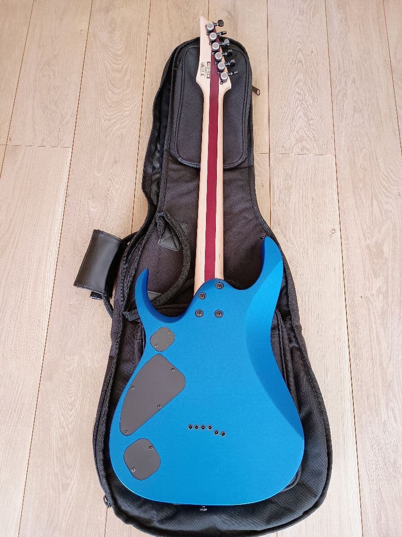入手困難！　Ibanez　RGDIR6M