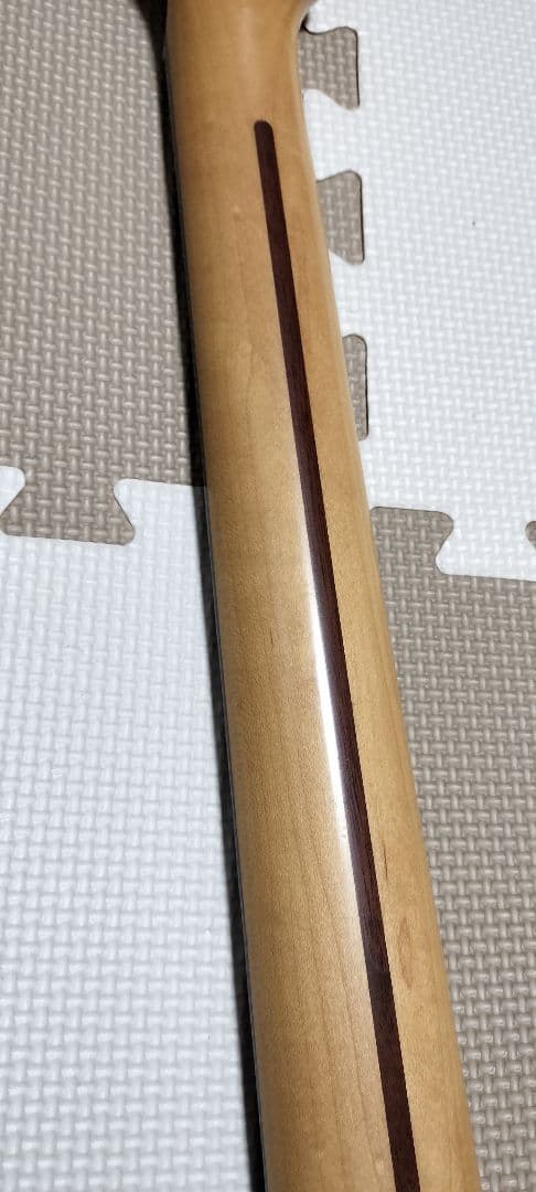 ギター Fujigen Neo Classic Series NCST-20R