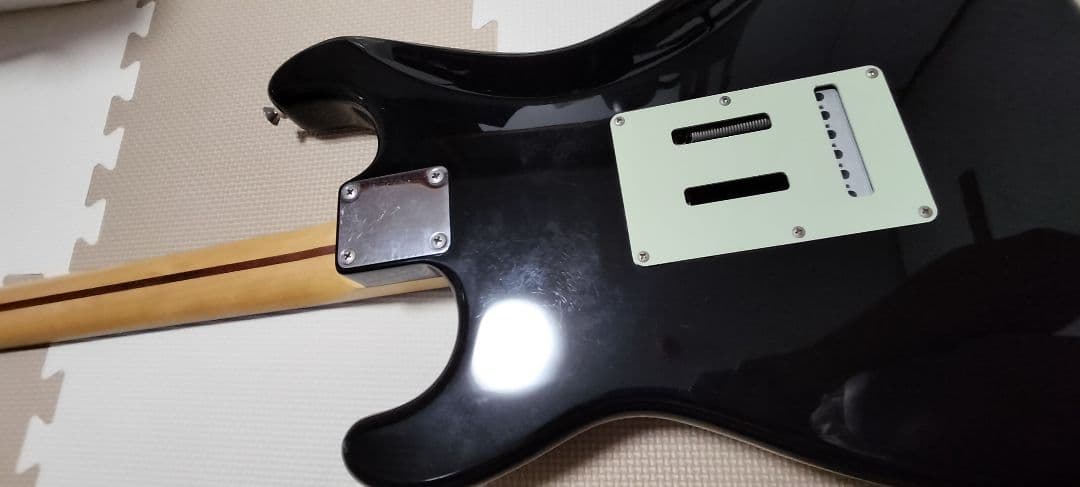 ギター Fujigen Neo Classic Series NCST-20R