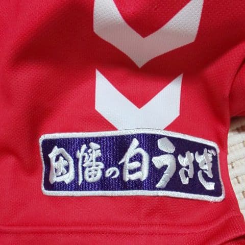 ガイナーレ鳥取 オーセンティックユニフォーム サイズL