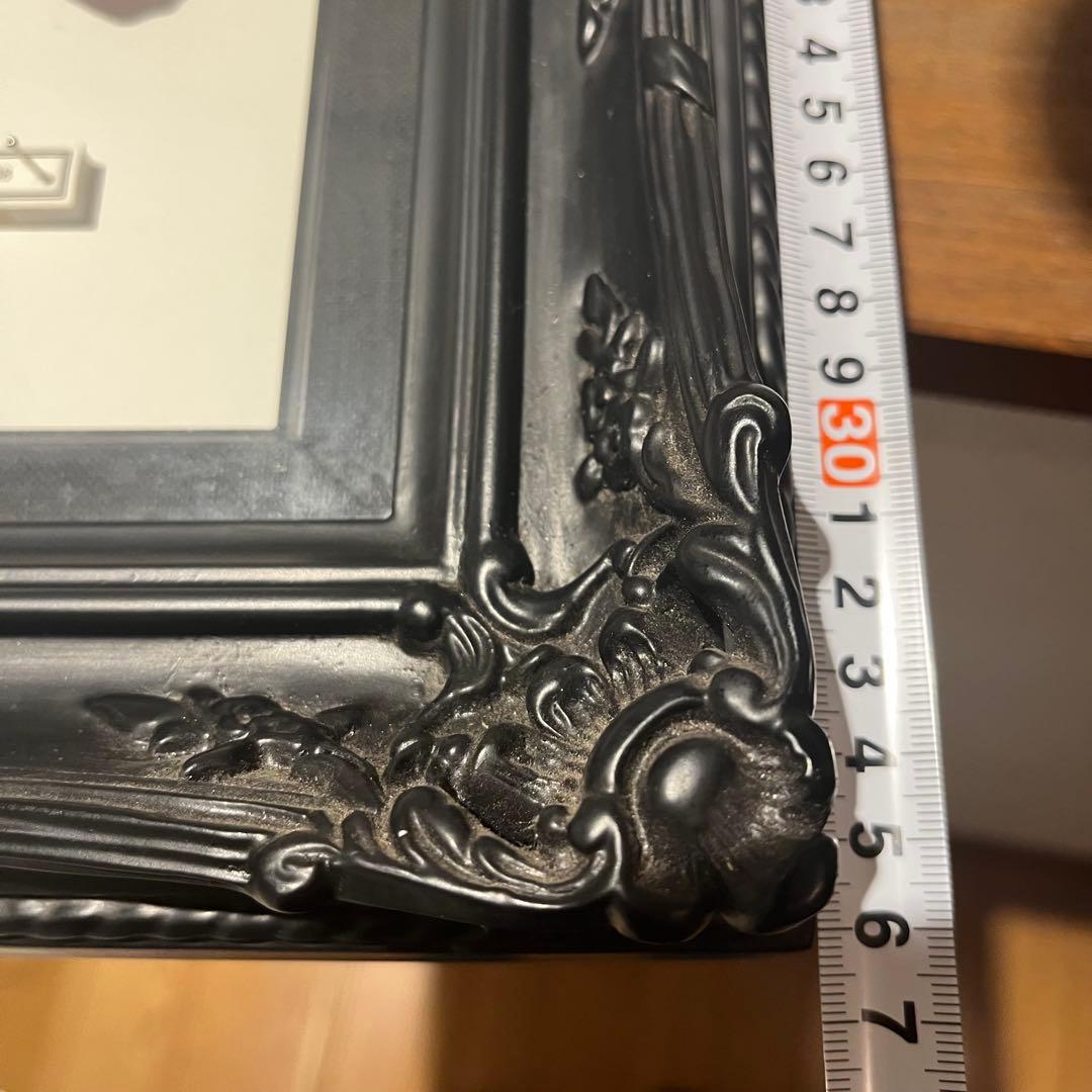 モルフォチョウ　大型個体　標本