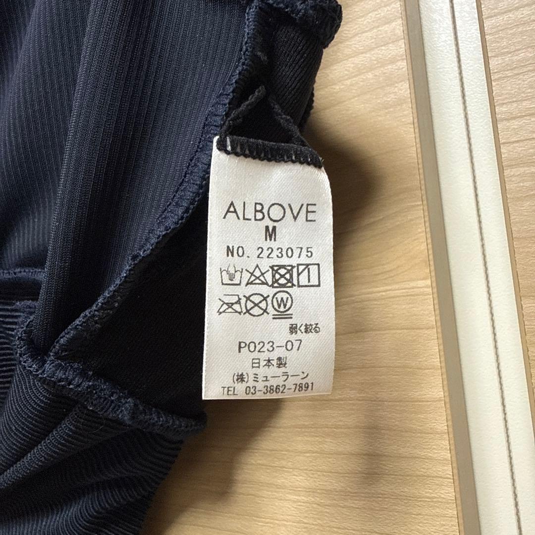 新品タグ付き　ALBOVE スポーツブラ　水陸両用　トップス　レギンス