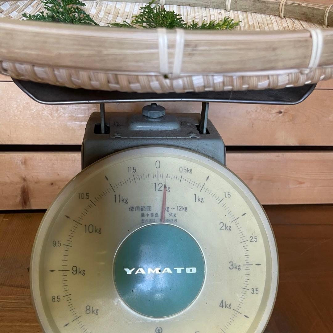 国産松茸　山梨産　約220g
