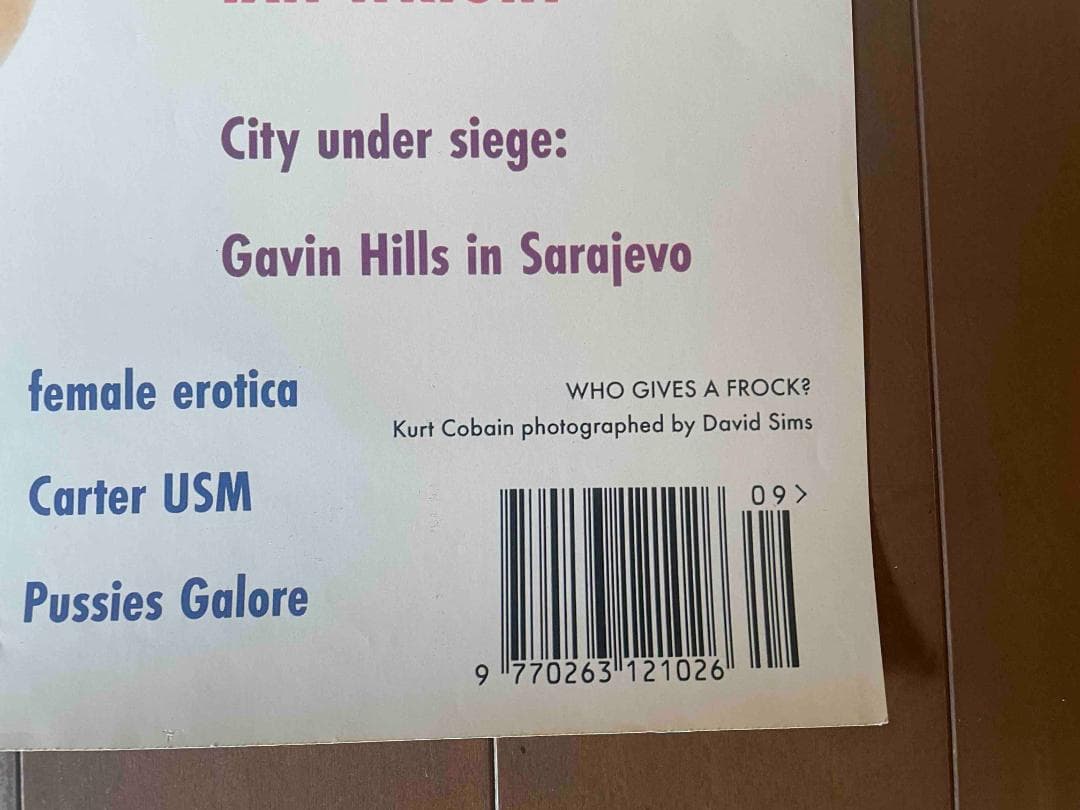 NIRVANA 　ポスター　カートコバーン David Sims　ヴィンテージ