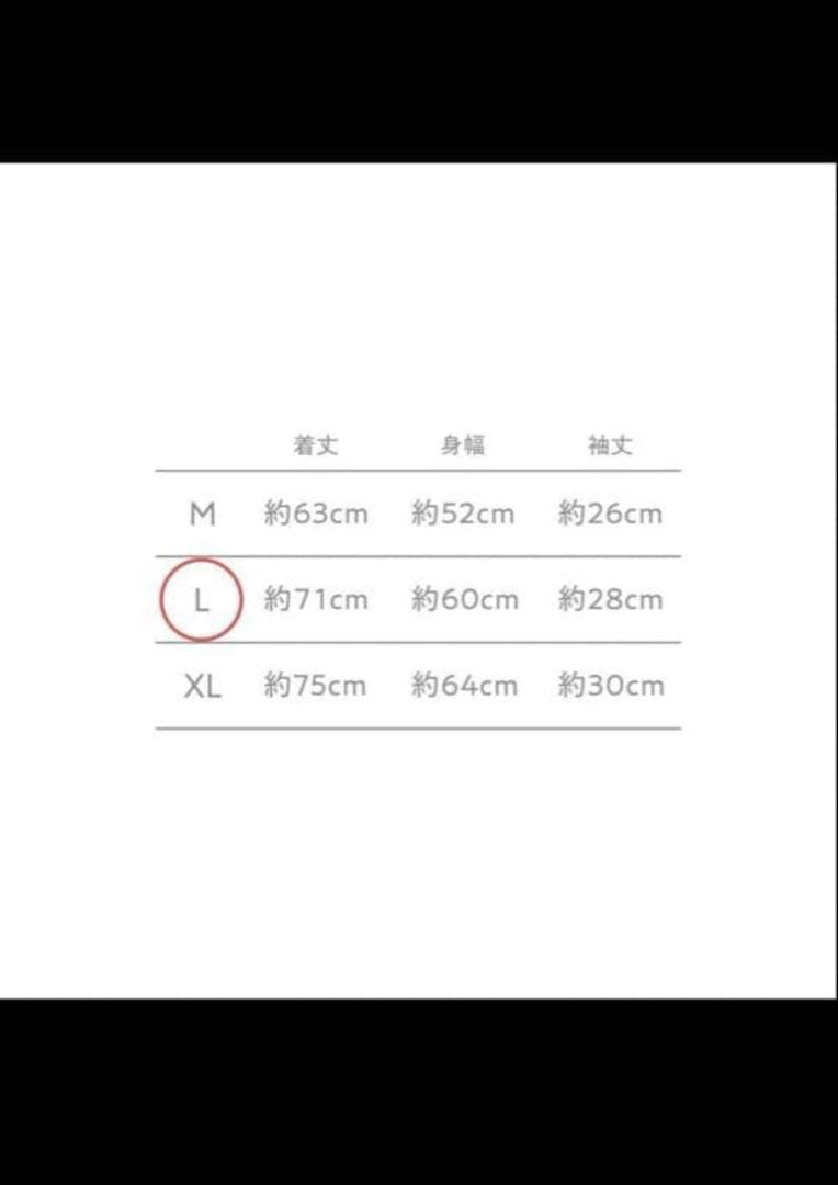 Lサイズ JUNK WORLD TOUR TEE 新品未使用