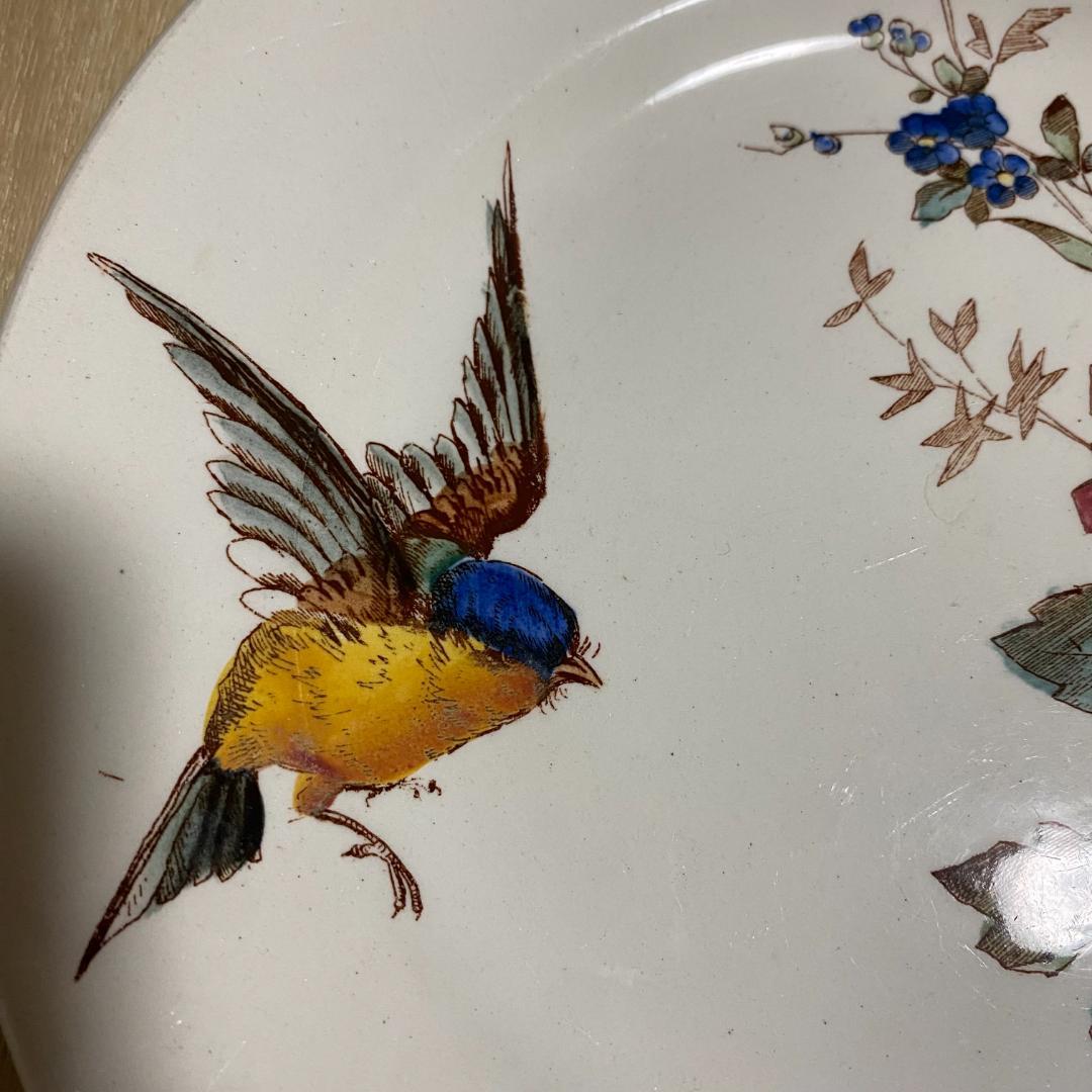 アンティークブランドの希少レアなお皿