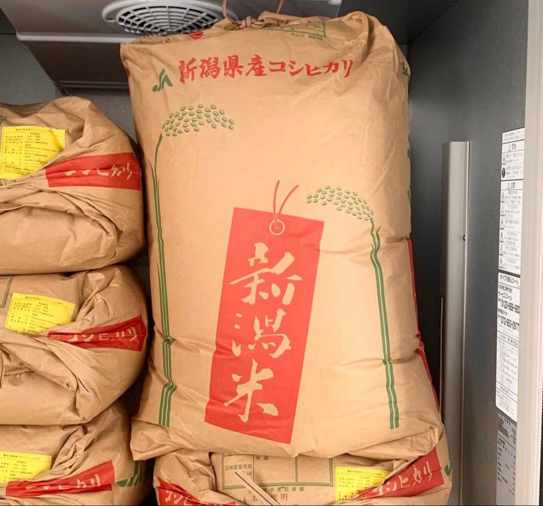 令和7年度産 コシヒカリ玄米 30kg