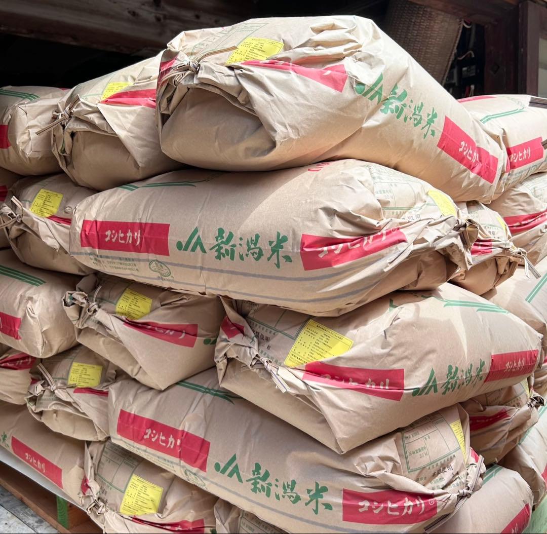 令和7年度産 コシヒカリ玄米 30kg