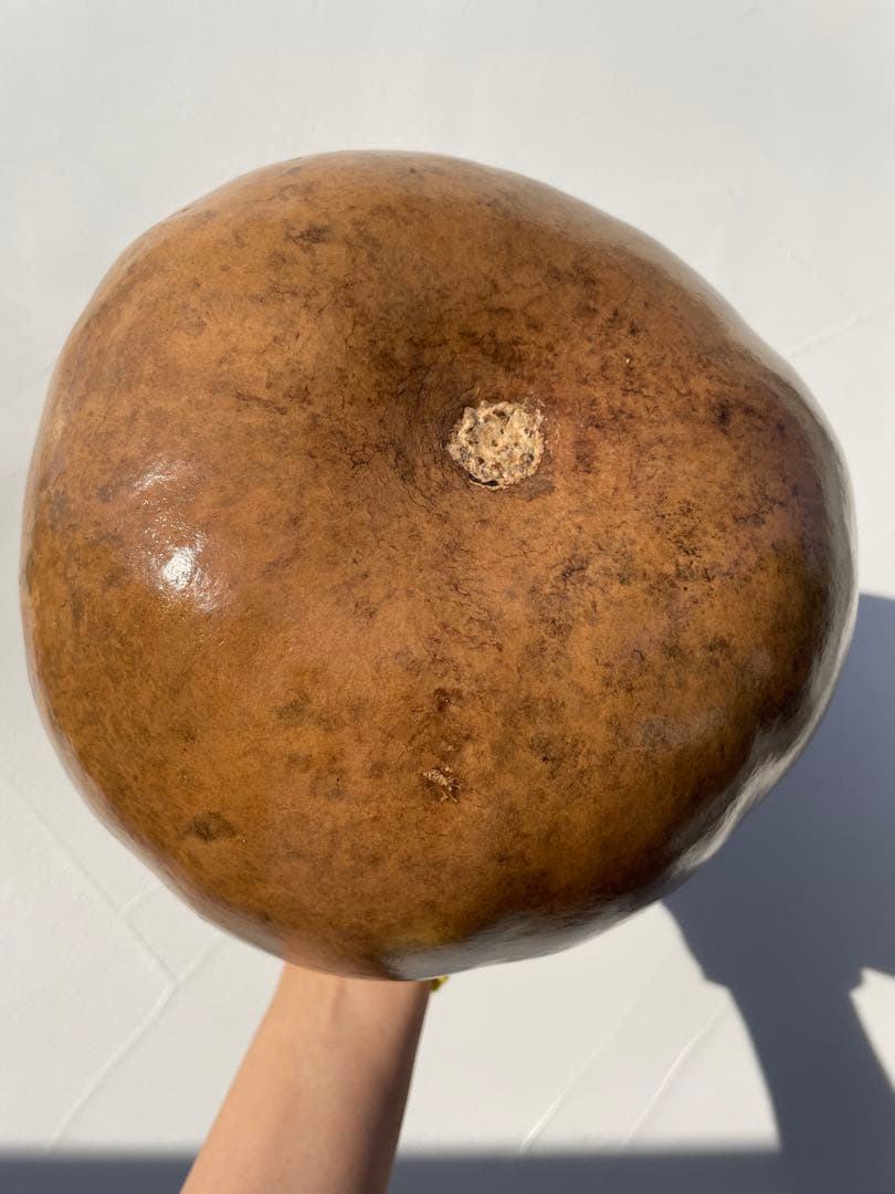 イプ　天然仕上げ