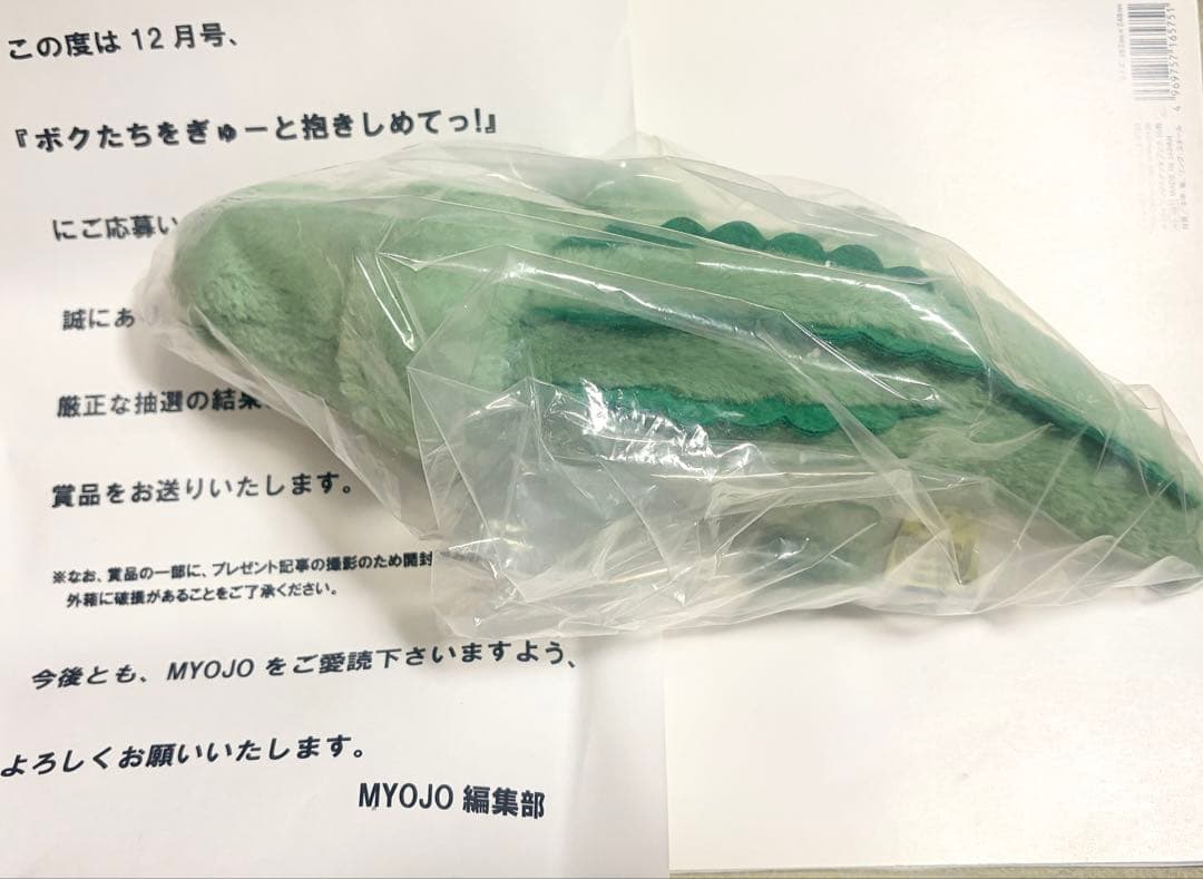 Aぇ!group 佐野晶哉 Myojo ぬいぐるみ