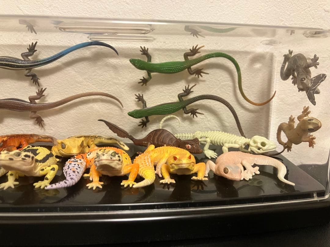 ネイチャーテクニカラー　トカゲ　ヤモリ大全　ガチャガチャ