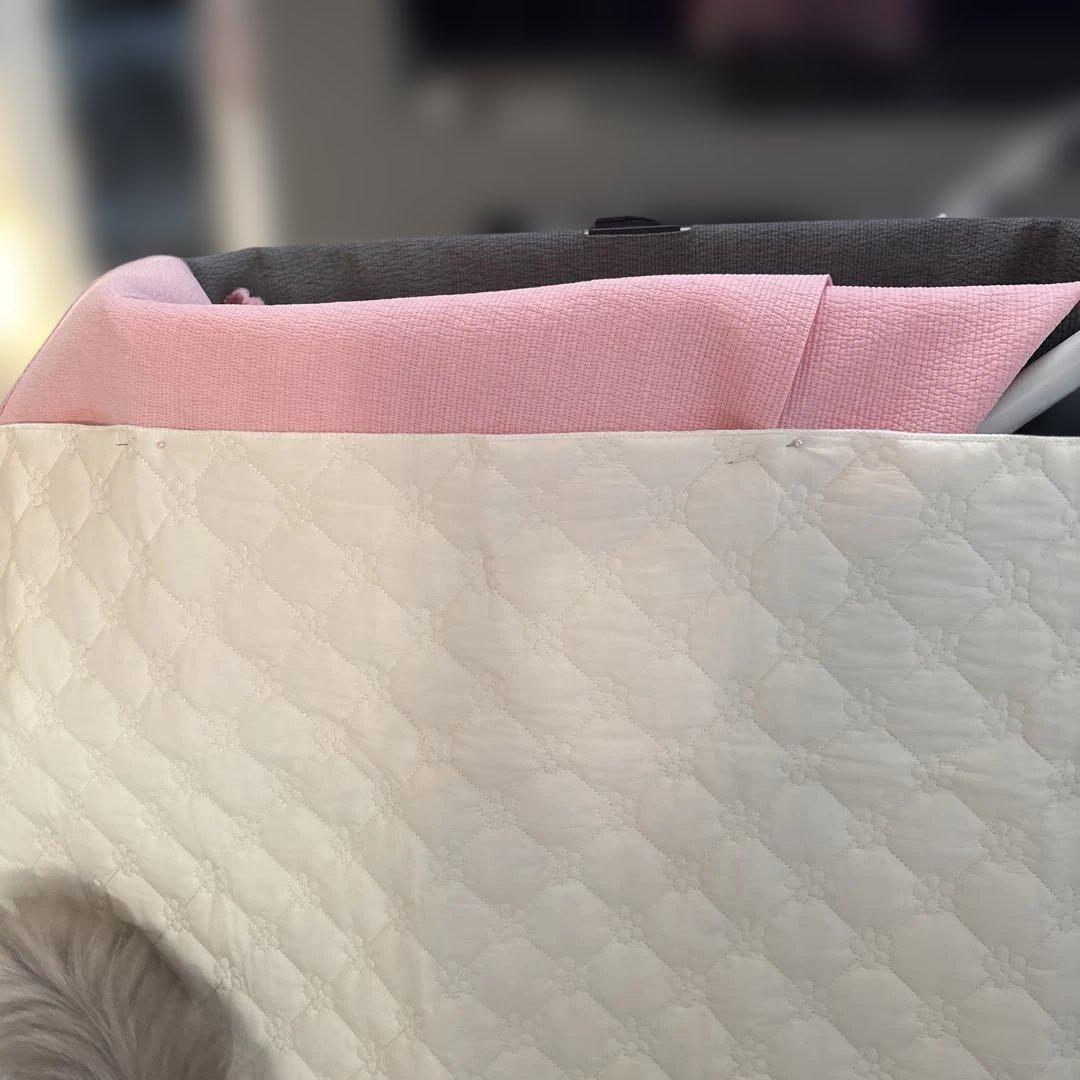 ハンドメイド製作　エアバギードーム3 コット全面カバー 特別仕上げ　ラージ