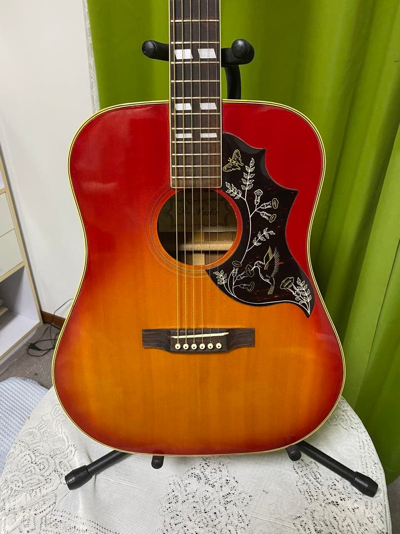 新春特価　カントリーしようぜ！ProMartin ハミングバード　エレアコ