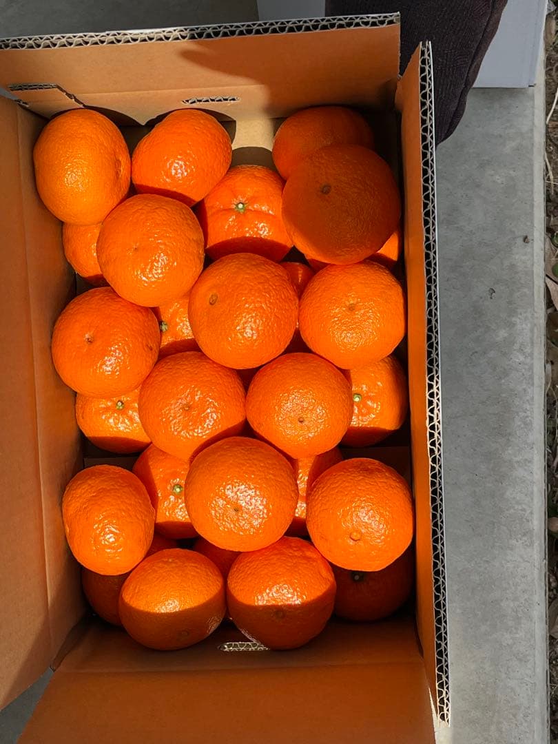 津之輝　Ｌ秀品 10キロ入