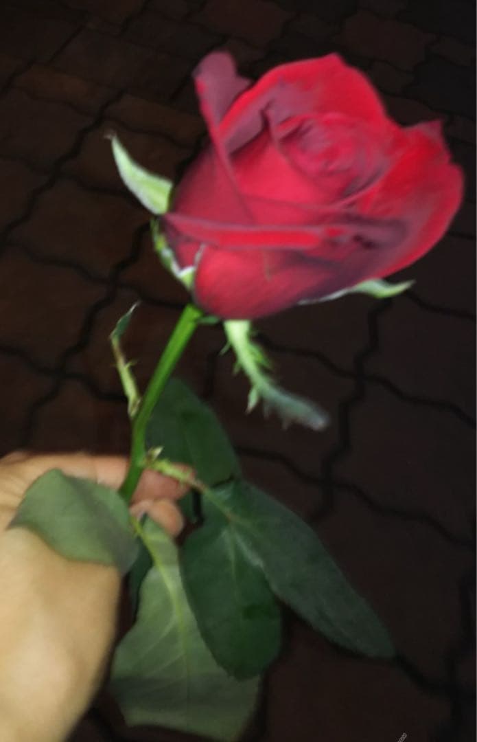 BIGBANG G-DRAGON オフィシャル出待ち　プレゼントのバラ