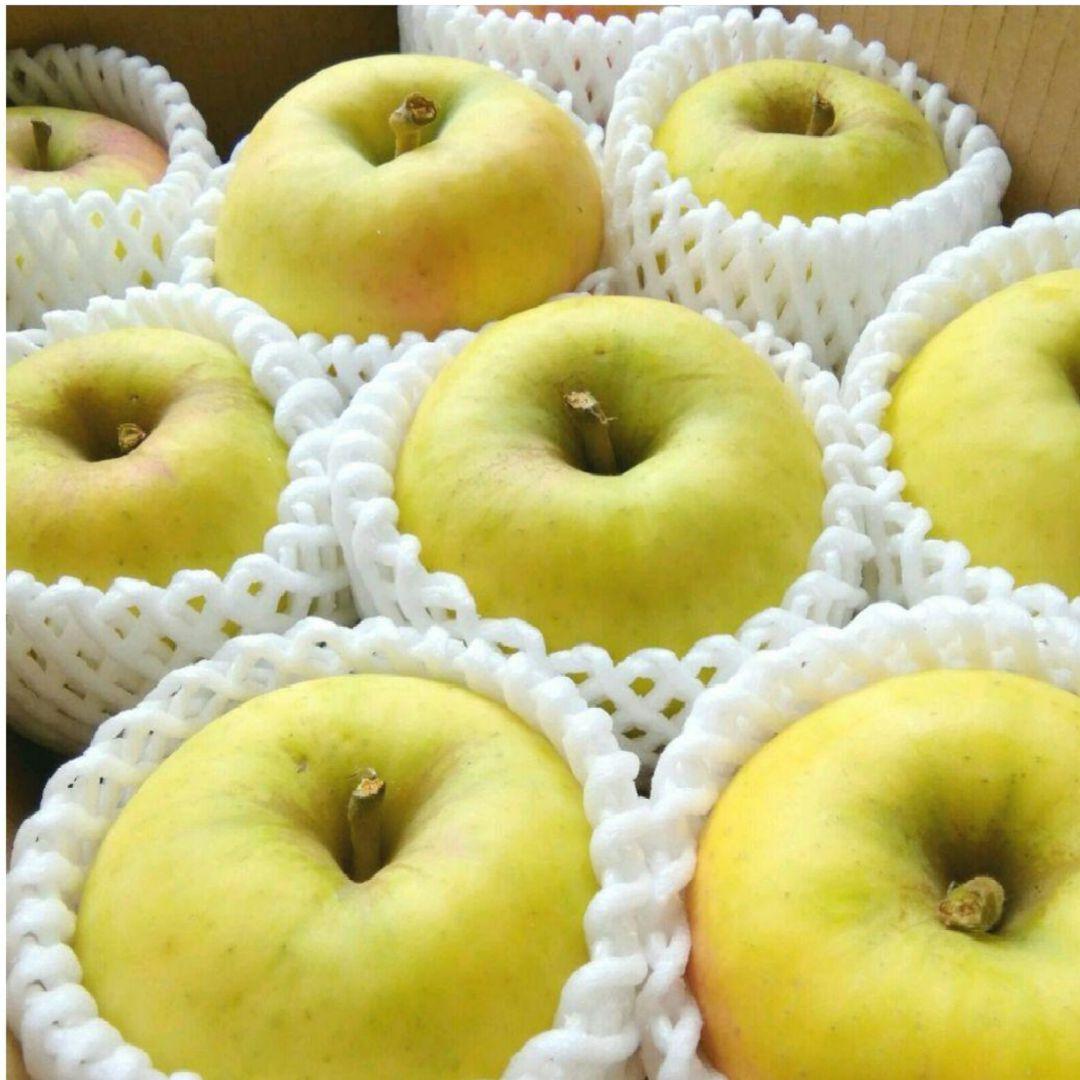 お得10k　ぐんま名月　じぃじの美味しい林檎