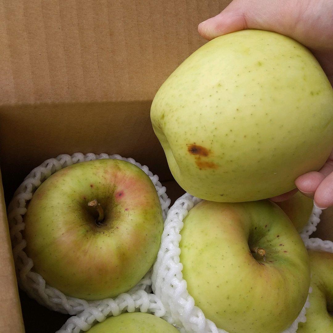 お得10k　ぐんま名月　じぃじの美味しい林檎