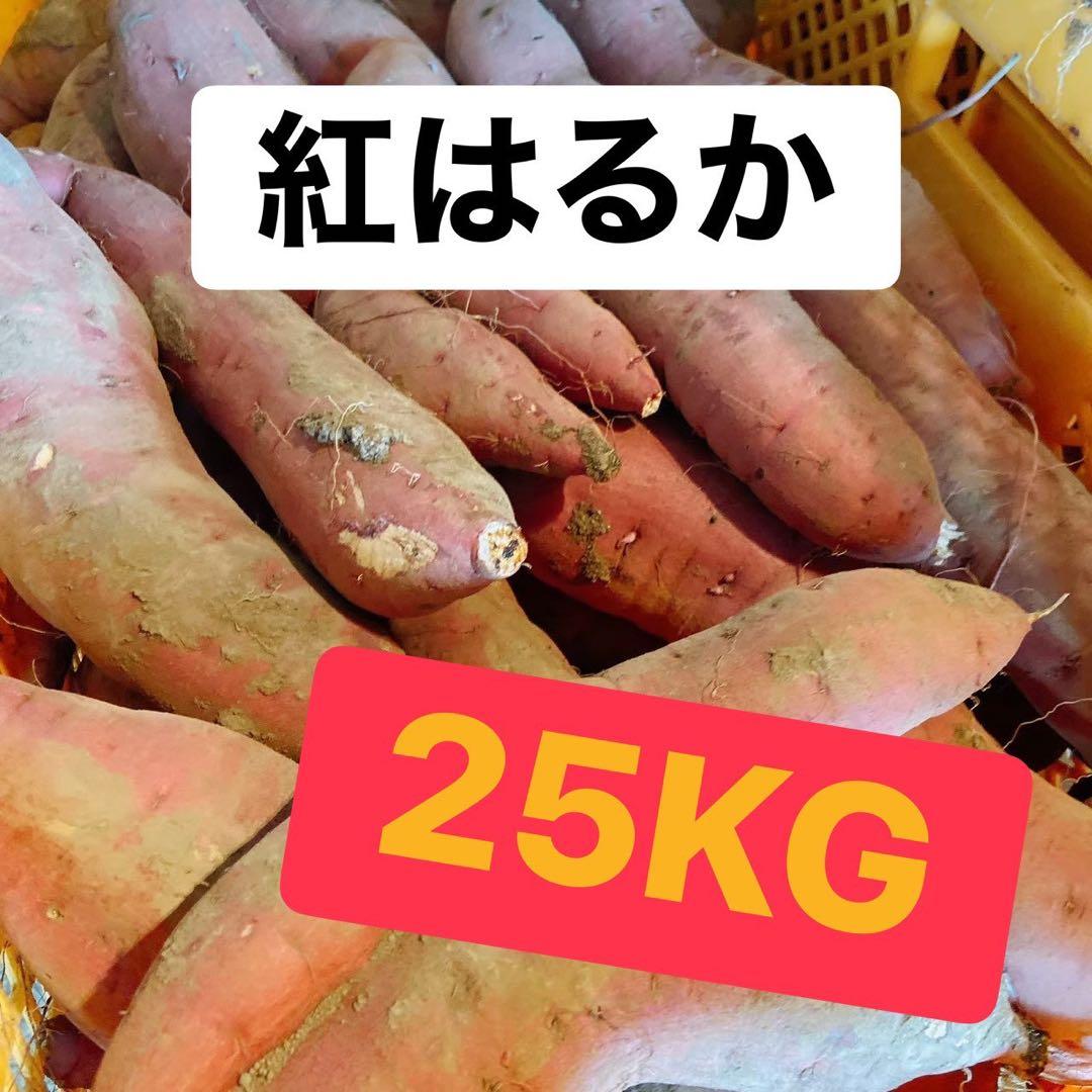 ずんちゃんページ 紅はるか Lサイズ25キロ